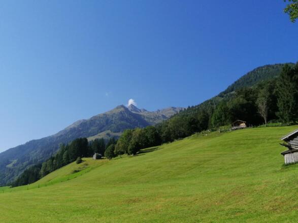 IMG_20210910_094104_resized_20230608_043630805