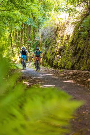 Der alte Bahndamm gehört mit seinen Farn- und Moosbewachsenen Seitenhängen zum Highlight der Tour