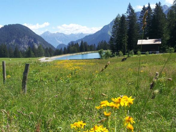 Barfußweg bei der Parpfienz Alpe