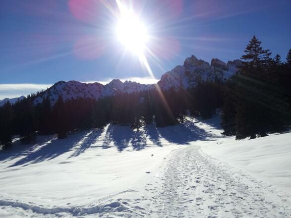 Winterwandern in Brand
