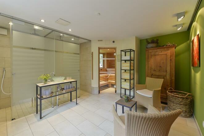 Wellness-Sauna 1