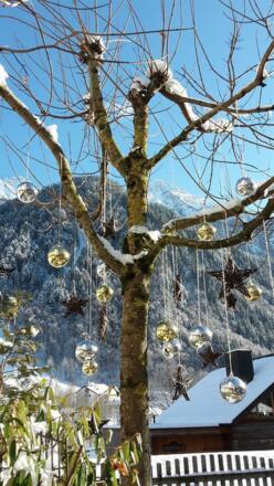 Weihnachtsdeko im Garten