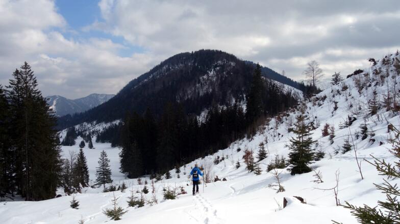 Abstieg zur Kreuzau mit Spitzenbergerriedel 1285m