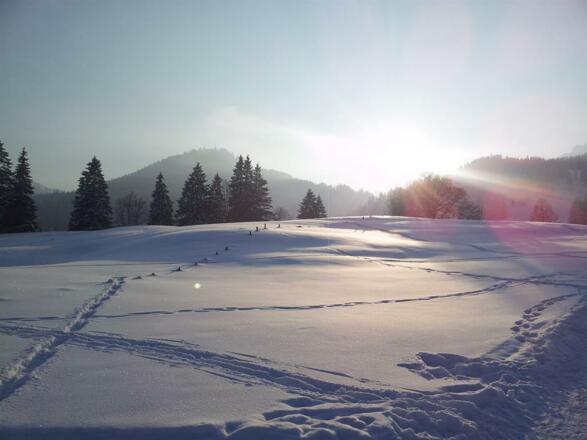 Tschengla Brandnertal