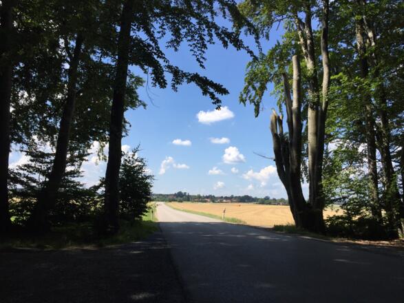 Großdingharting in Sicht