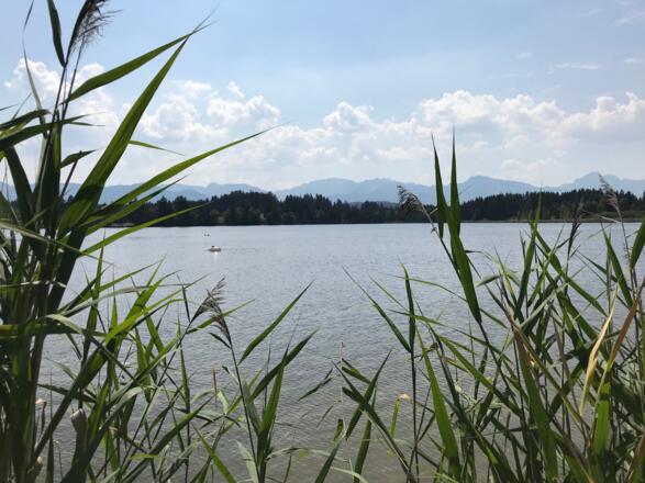 Schmuttersee bei Sameister