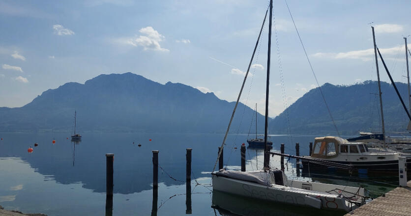 Boje für Boot - Goldener Anker