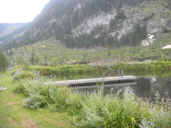 Teich