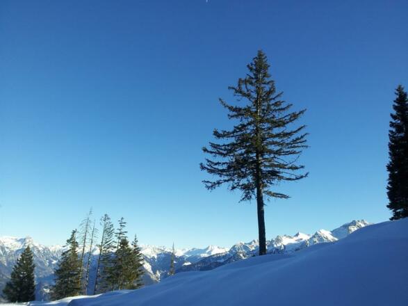 Winterspaziergang auf der Tschengla