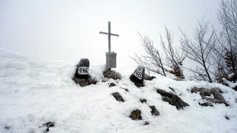 Tannschwärze 1533m