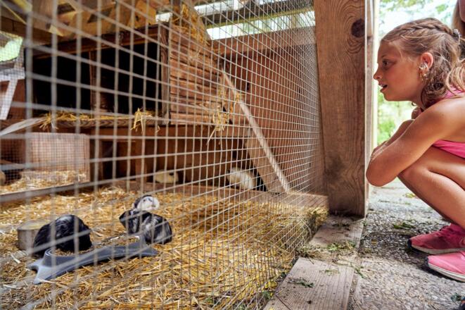 Tiererlebnispfad_Brand_(c)_Alex_Kaiser_-_Alpenregi