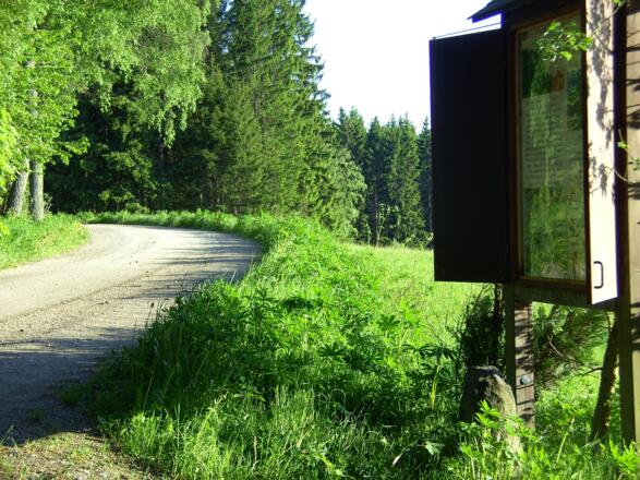 S04_Foto_GstoettnerWinkl