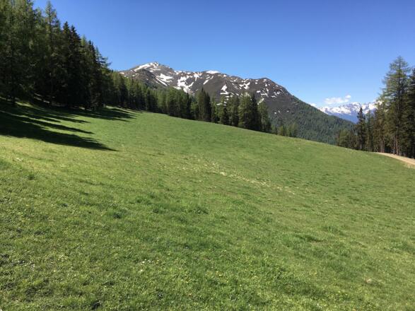 Bis zur Venetalm ist es nicht mehr weit und im Hintergrund grüßt bereits das Kreuzjoch herunter.