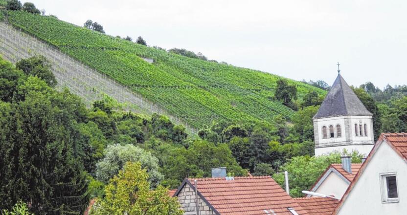 Weinberge bei Zell am Ebersberg