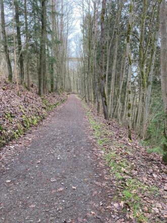 Geschotterter Weg am westlichen Ufer