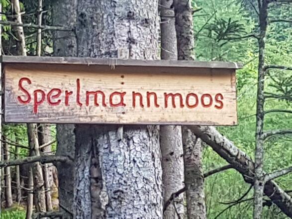 Sperlmannmoos