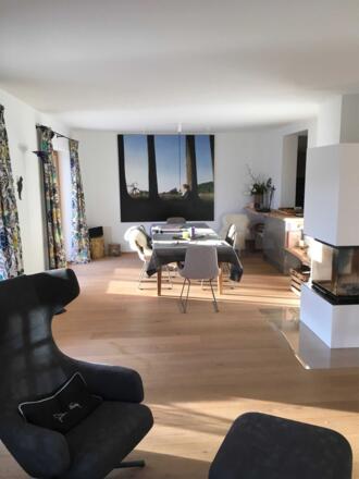 Wohn-Eßzimmer mit Repos Sessel von Vitra