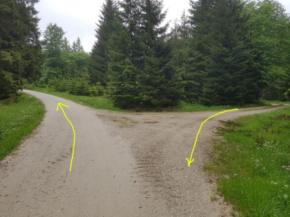 Beim Rückweg hier links abbiegen.