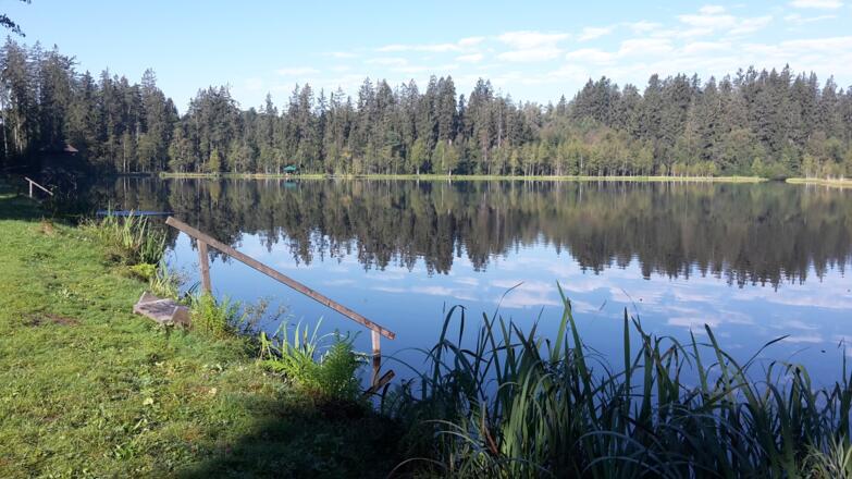 Rosenhofer_Teiche_Elmecker_(3)