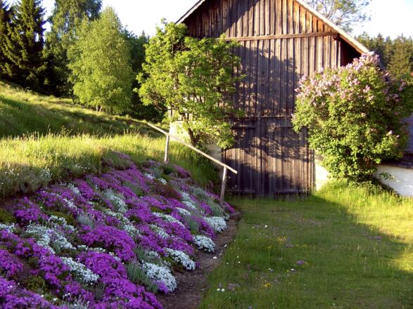 Sagentafel Forststraße Ri Kohlstatt