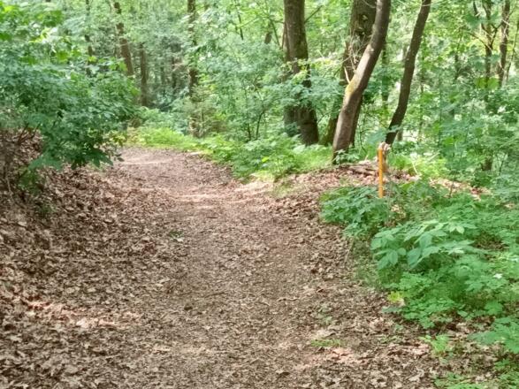 Goldsteig nach Stubenhof