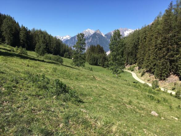 Die Auffahrt mit dem Mountainbike ist mit Wald- und Wiesenabschnitten sehr abwechslungsreich.