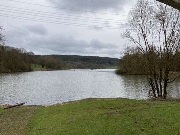 Liegewiese im Norden des Sees