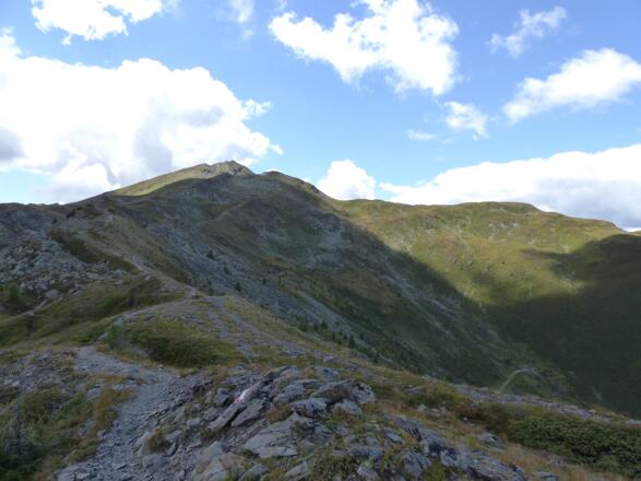 Blick über die sanften alpinen Bergwiesen hinauf zum Kreuzjoch.