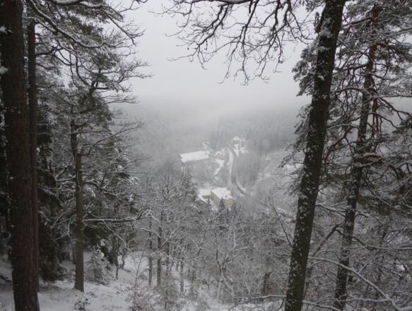 Aussicht von der Kupferplatte ins Murnthal
