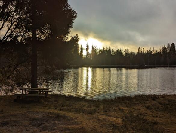 Winterwanderweg Rosenhof Sandl