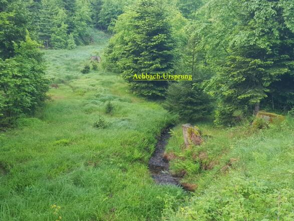 Der Ursprung des Achbaches.