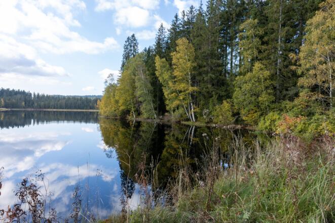 Winterwanderweg Rosenhof Sandl