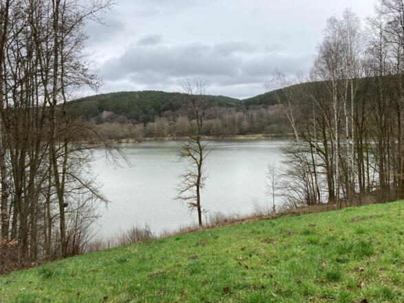 Aussicht auf den See