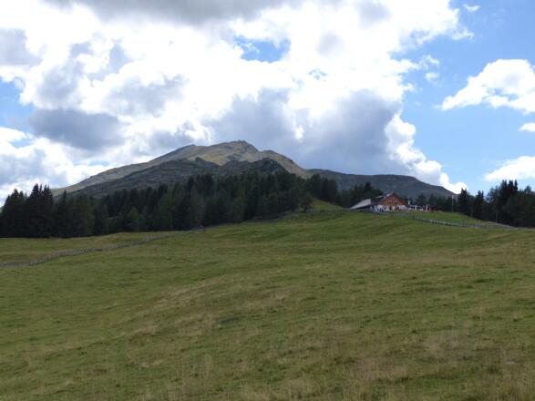 Die Venetalm - wunderschöne Lage inmitten baumfreier Weideflächen.