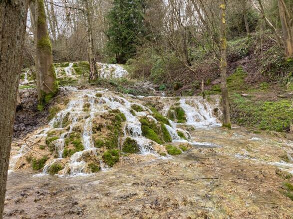 Sinterterrassen in Weissenbrunn