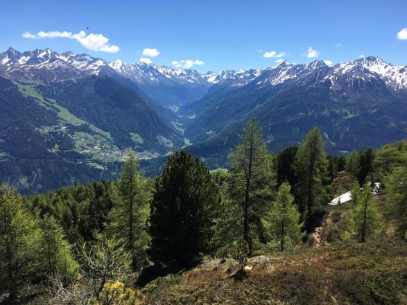 Bei der Abfahrt blickt man weit in das tiefeingeschnittene Pitztal hinein.