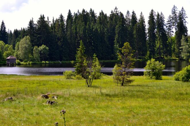 Winterwanderweg Rosenhof Sandl