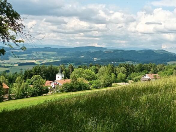 Blick zur Gallnerkirche