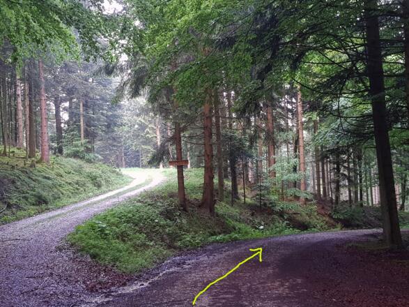 Hier rechts abbiegen.