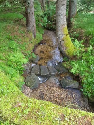 Der "junge" Achbach.