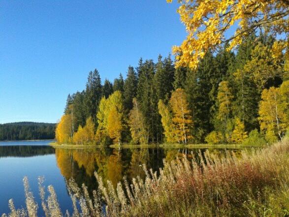 Winterwanderweg Rosenhof Sandl