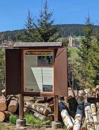 In der Abendsonne Aufnahme Forststraße Ri Kohlstatt