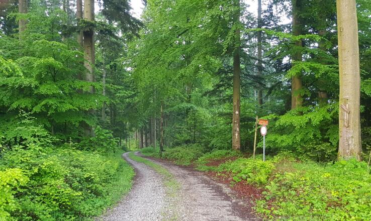 Am Weg zur Achbachklaus