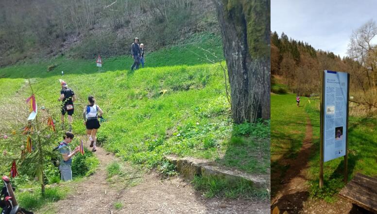 Quelle am Brunnweg Engelhardsberg