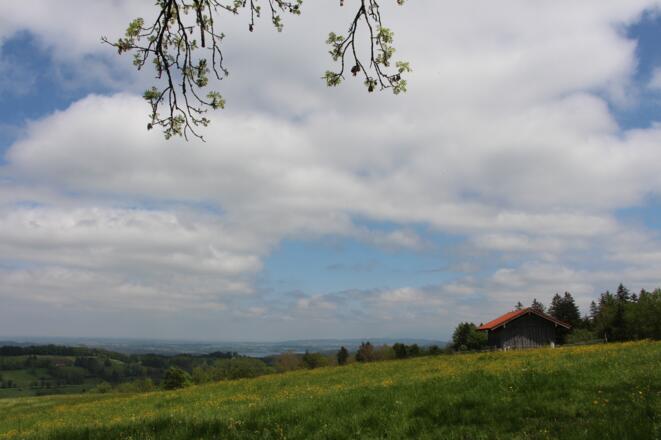 Aussicht am Bienenweg