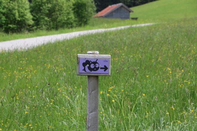 Beschilderung des Weges