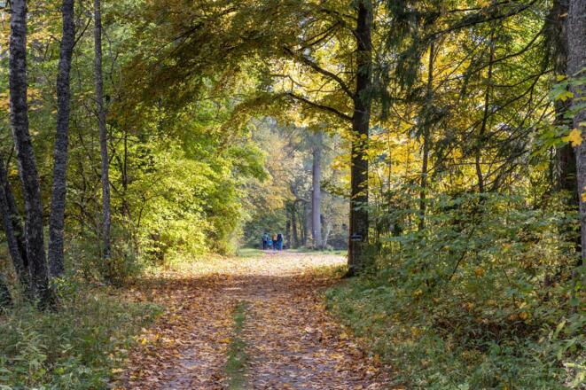 Haubenbergweg