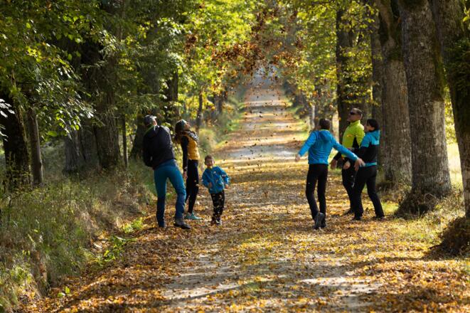 Haubenbergweg