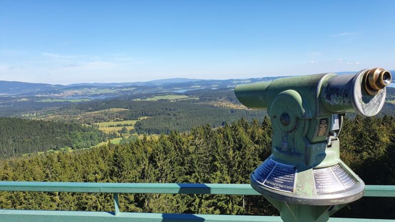 MoldaublickBlickZumMoldaustauseeSchoeneben_FerienregionBoehmerwaldFelhofer.jpg