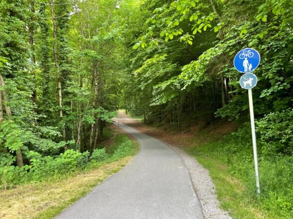 Schattiger Radweg durch Waldstücke in Vandans